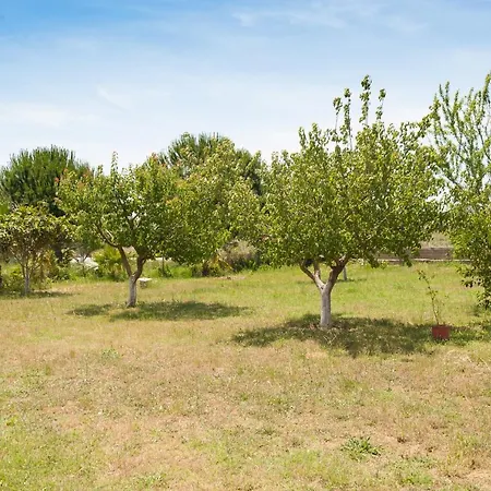 Olives Estate Apartments Grande Preveza Exterior photo