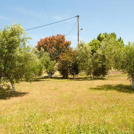Olives Estate Apartments Grande Preveza Exterior photo