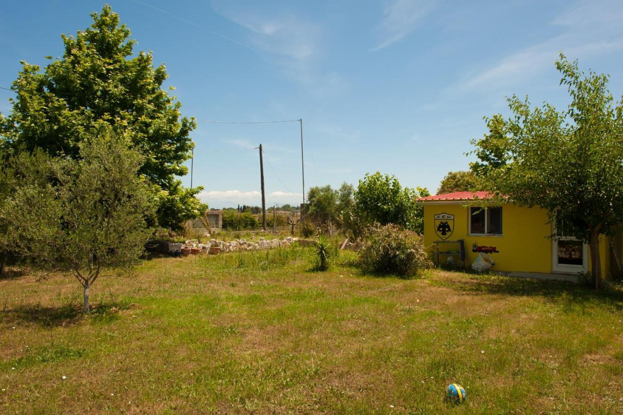 Olives Estate Grande *