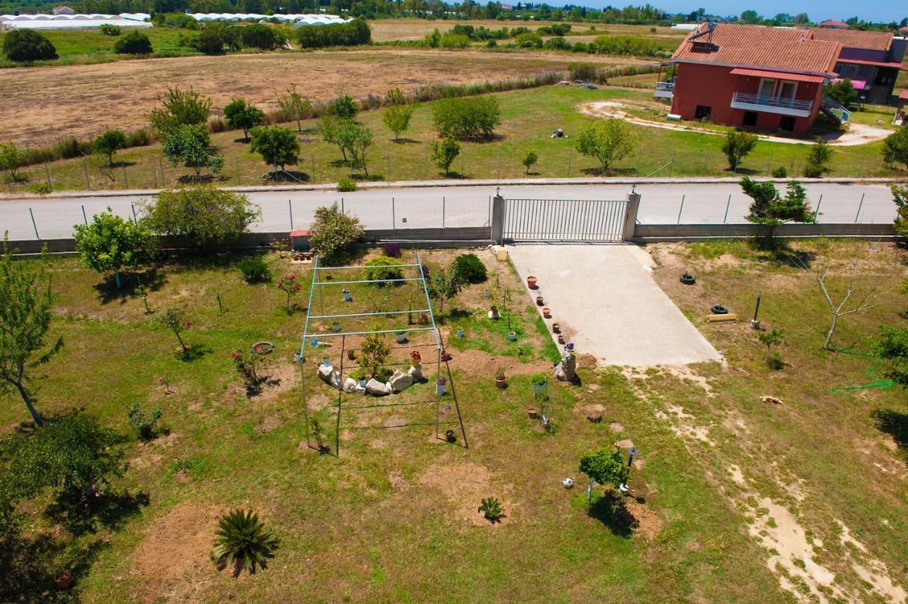Olives Estate Grande Apartment