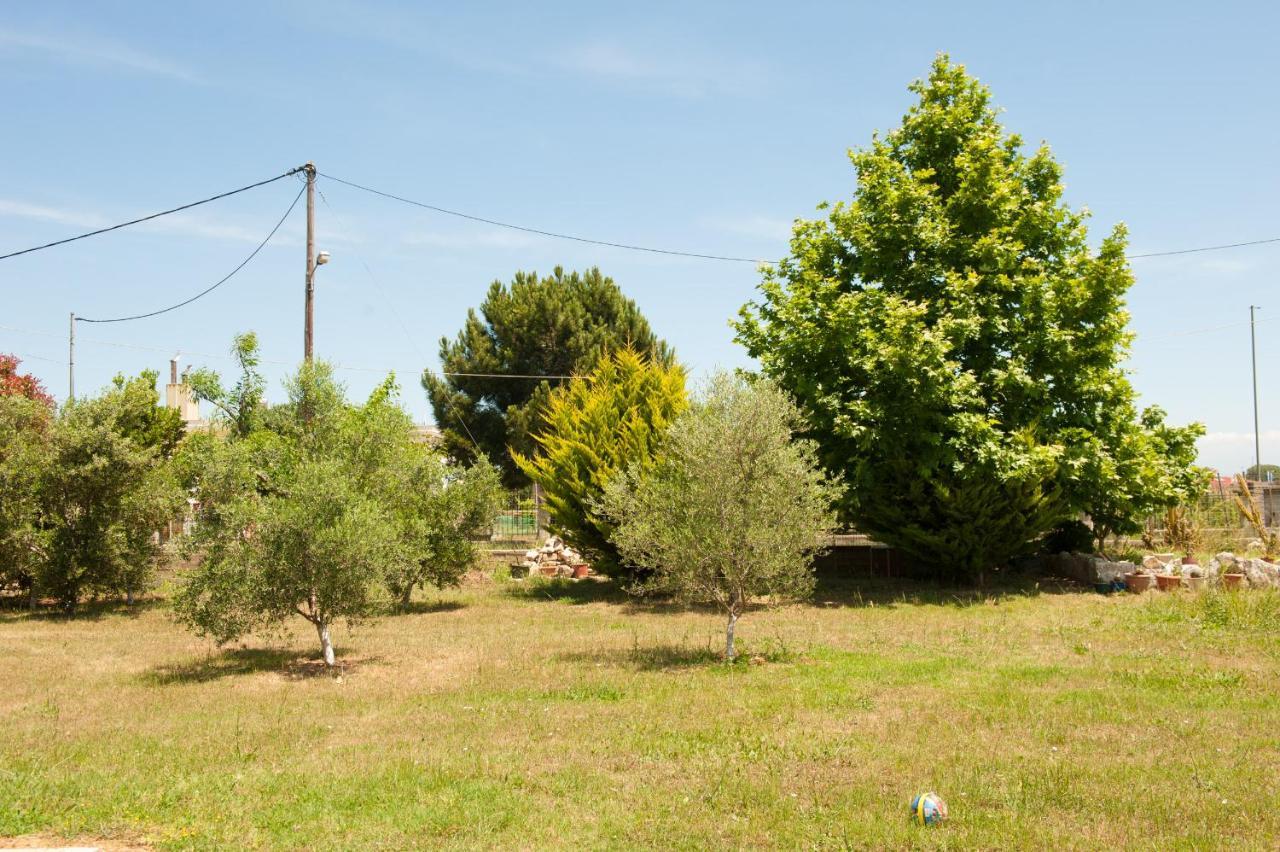 Olives Estate Grande * Preveza