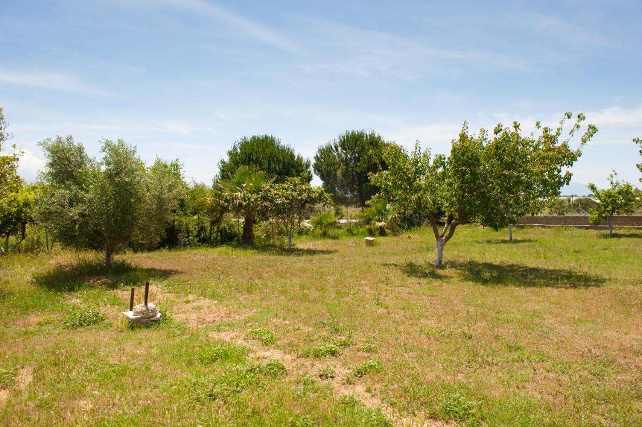 Olives Estate Grande
